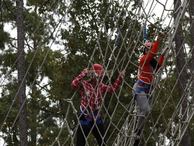 Circuitos de árboles para familias /tb_Circuitos de arboles para familia.jpg